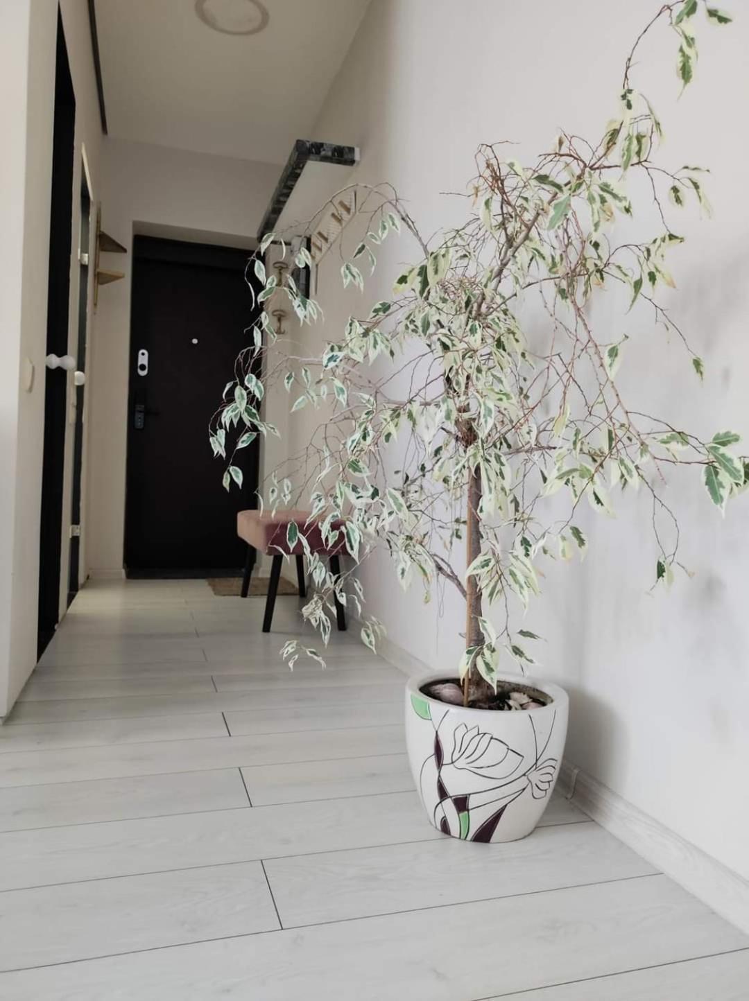 Apartamentai miesto centre Šiauliai Exterior foto